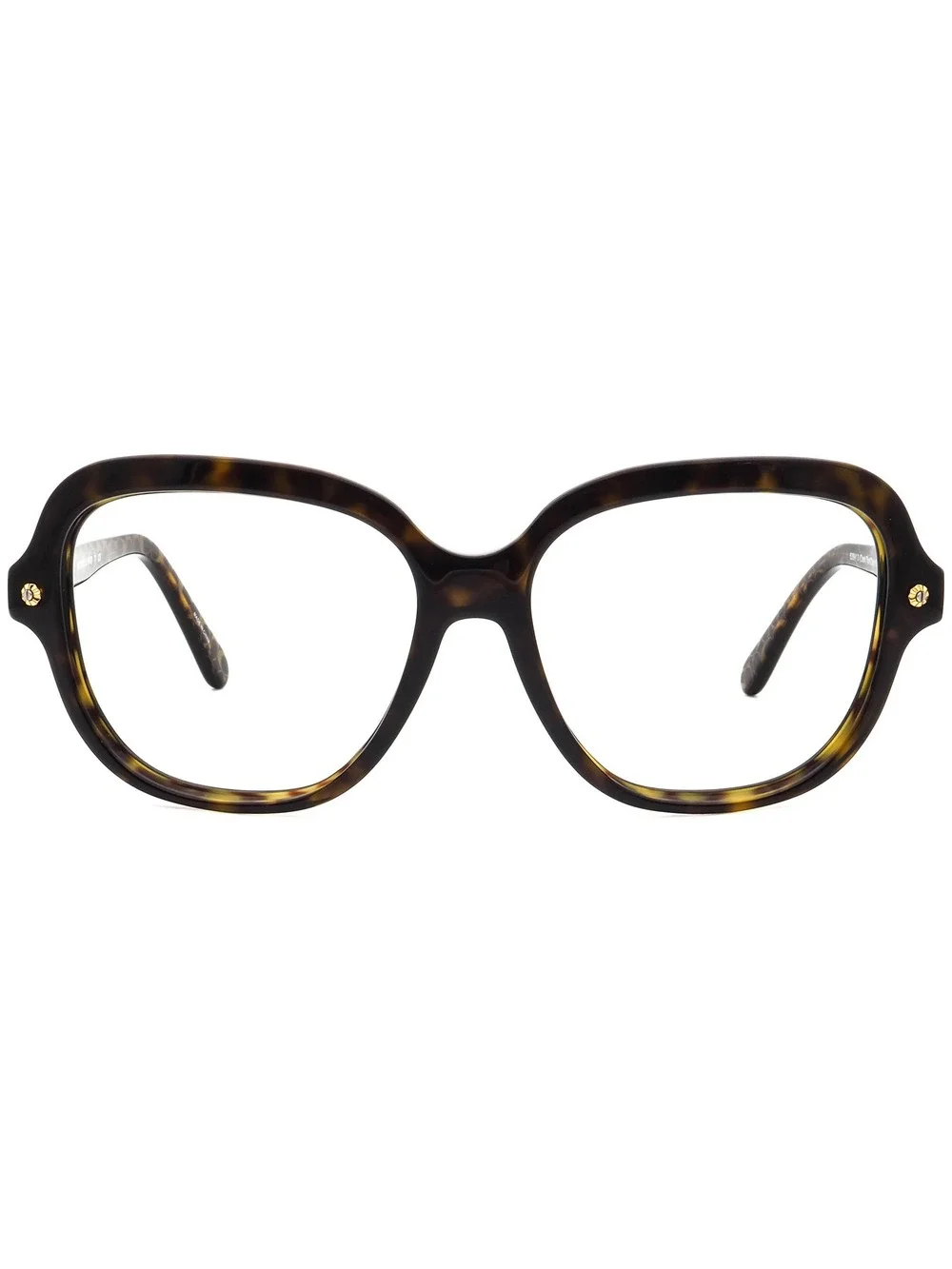 Coach HC 8192 (L1613) 539413 Eyewear